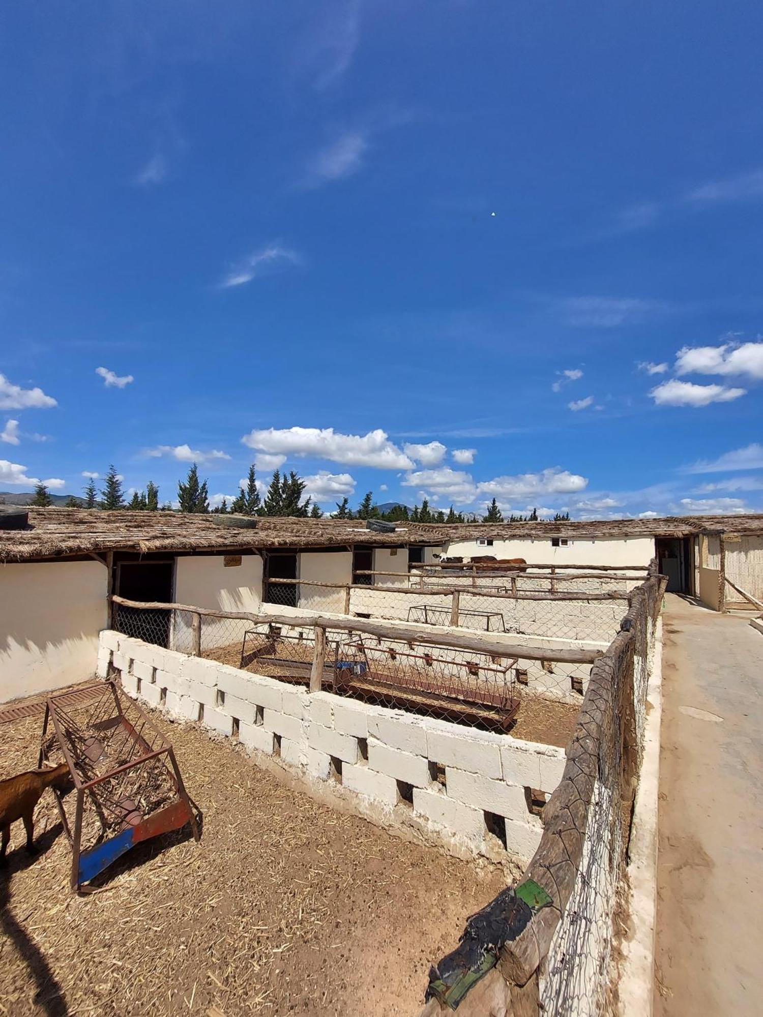 La Granja Pensionat Tétouan Exteriör bild