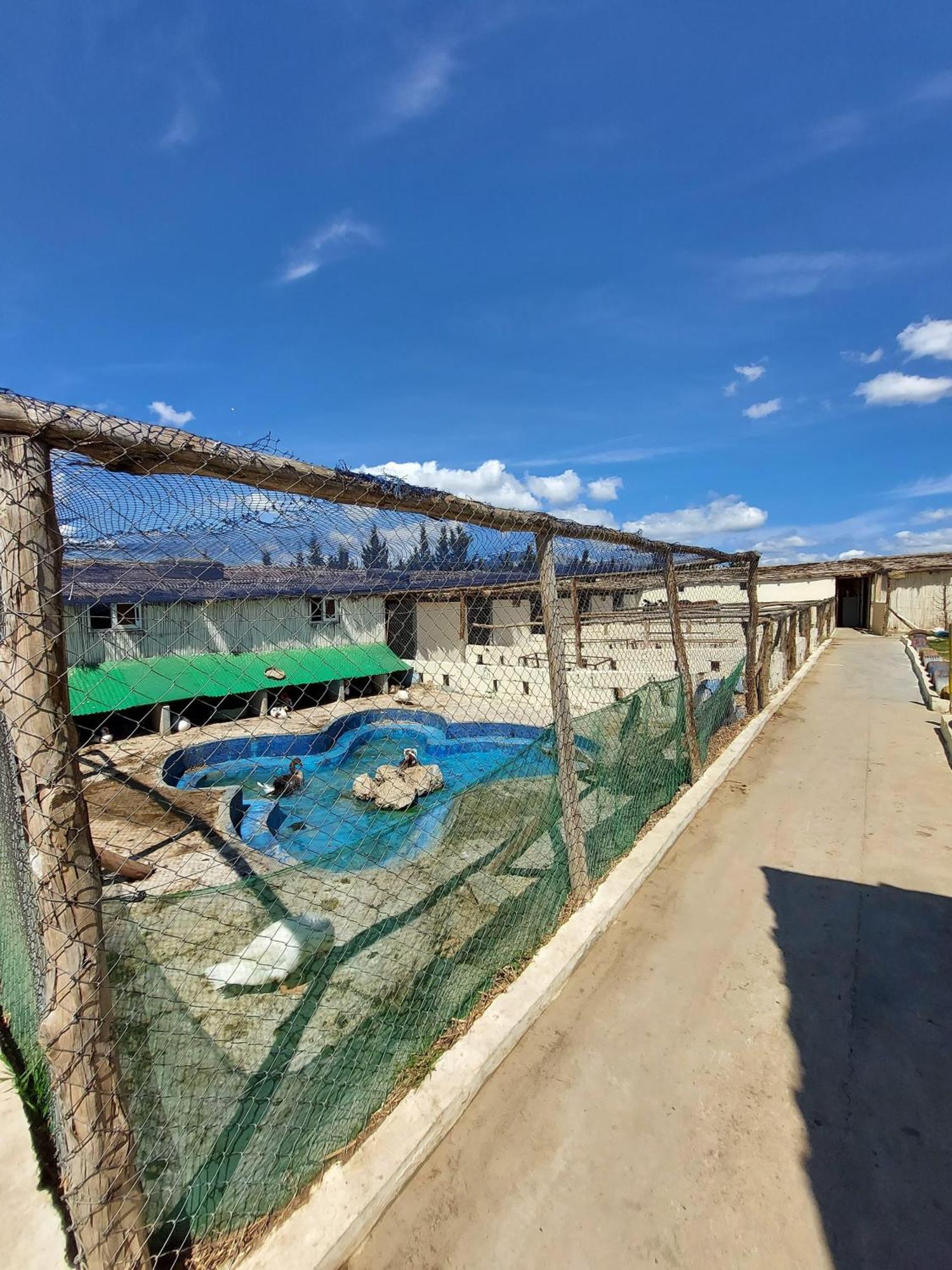 La Granja Pensionat Tétouan Exteriör bild